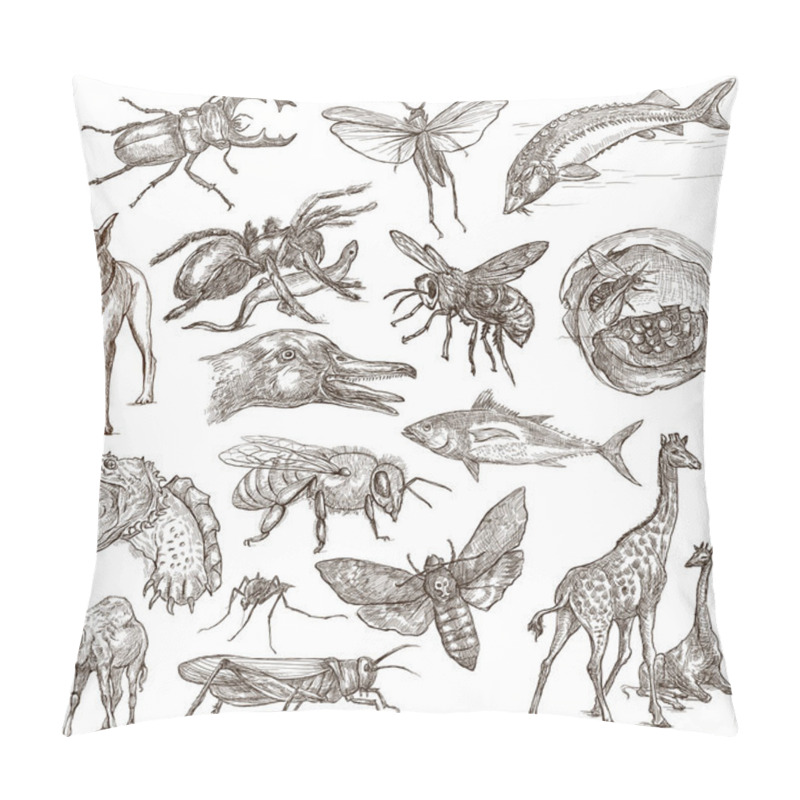 Personality  Animals Around The World - An Hand Drawn Full Sized Pack. Hand D Pillow Covers