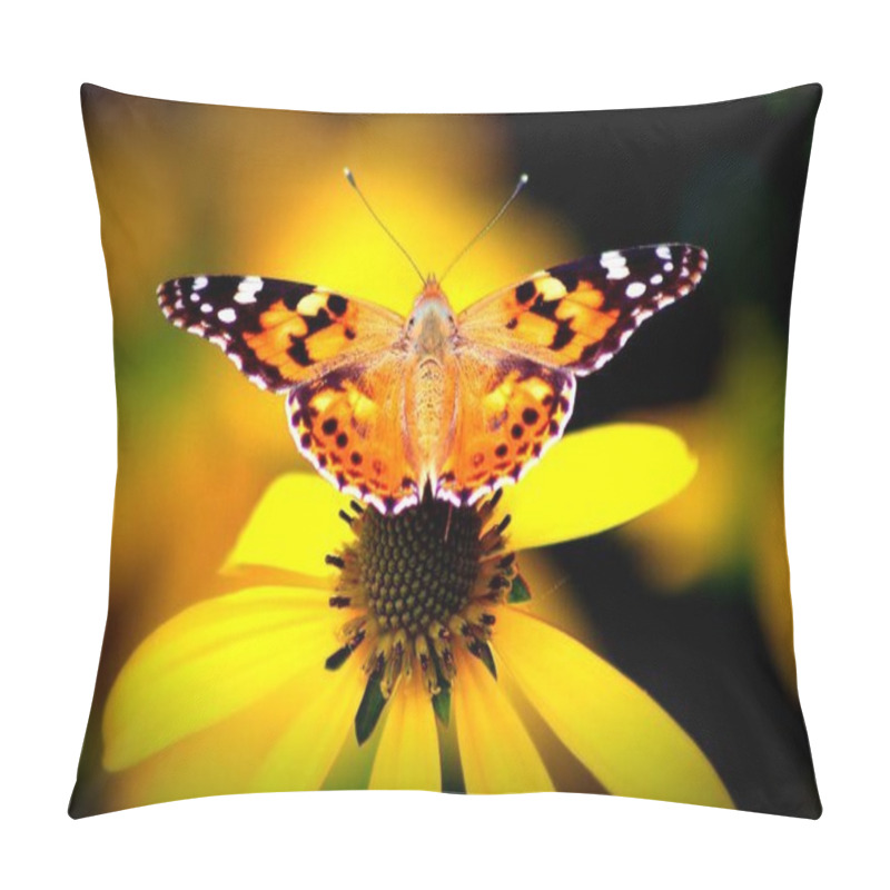 Personality  Vanessa Cardui Butterfly ( Echinacea Purpurea ) Pillow Covers