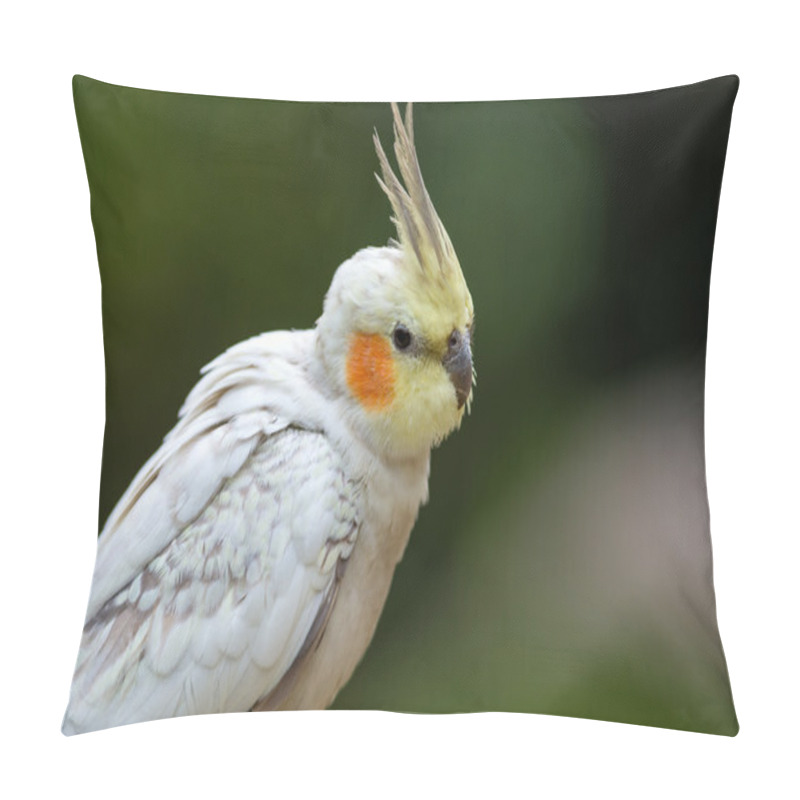 Personality  Cocktiel Pillow Covers