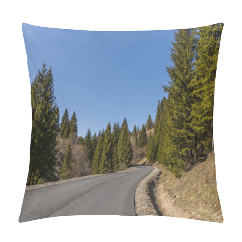 Personality  Empty Road And Coniferous Forest With Blue Sky At Background  Pillow Covers