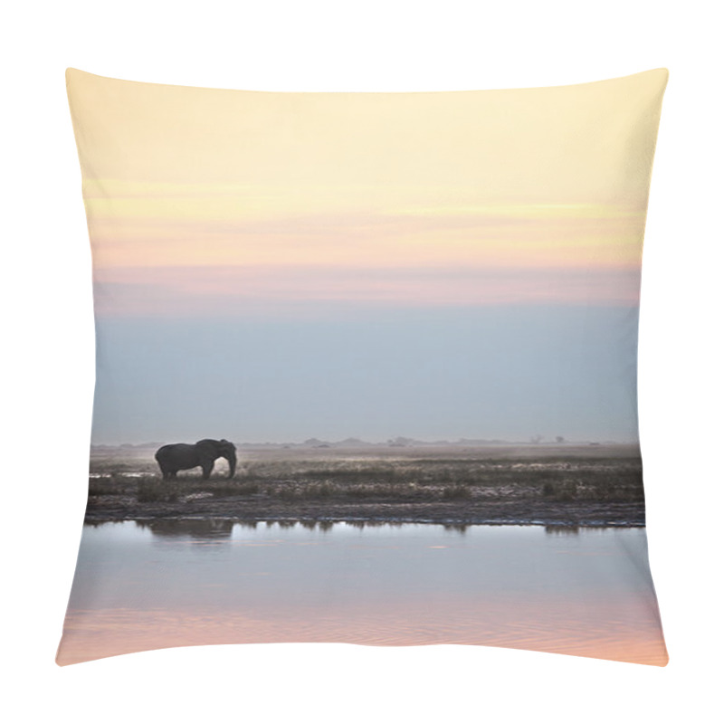 Personality  Elephant  Standing At A Watering Hole Pillow Covers