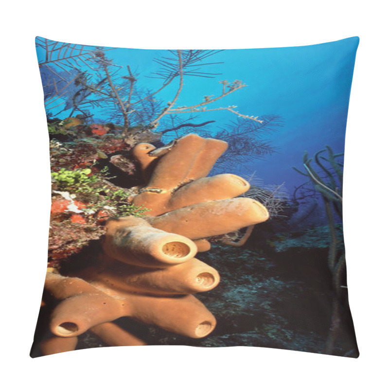 Personality  Cluster Of Sponges Pillow Covers