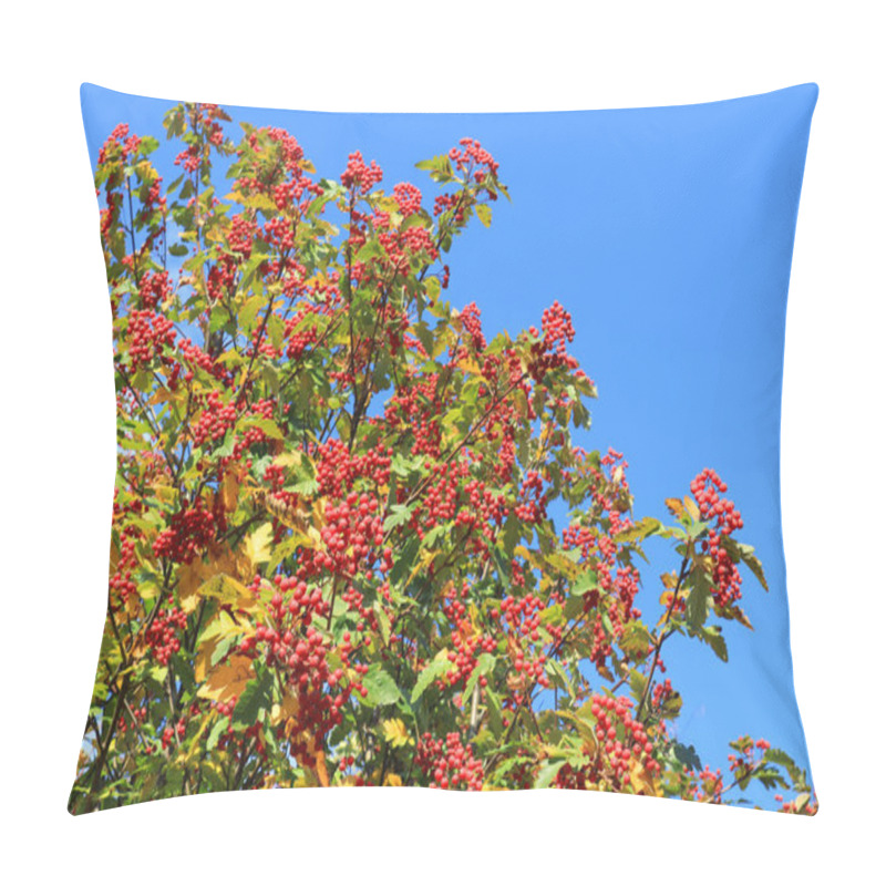 Personality  Hawthorn Zbigniew On A Branch Pillow Covers