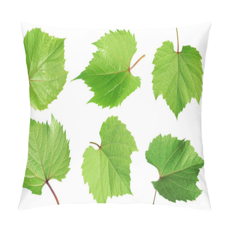 Personality  Set Of Green Grape Leaves On White Background. Banner Design  Pillow Covers