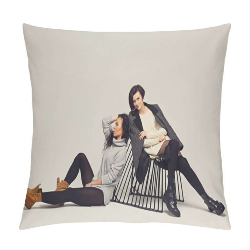 Personality  Two Attractive Brunette Women Posing In A Studio. Pillow Covers