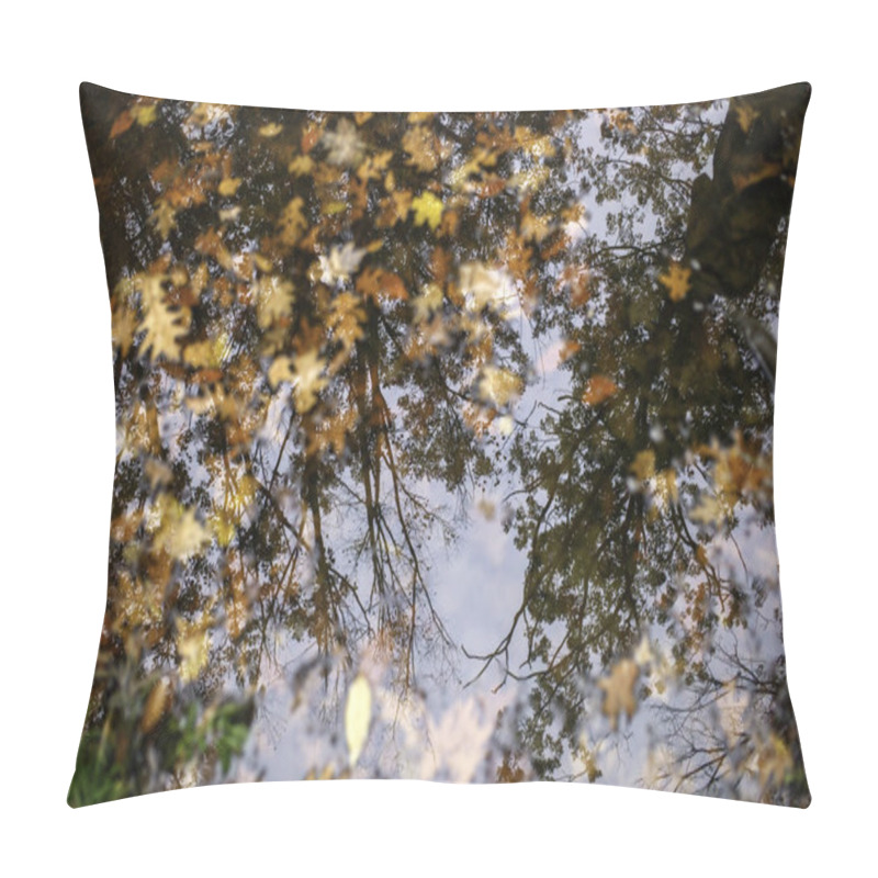 Personality  Autumn Collage Of Earth Toned Leaves Floating In Water Pillow Covers