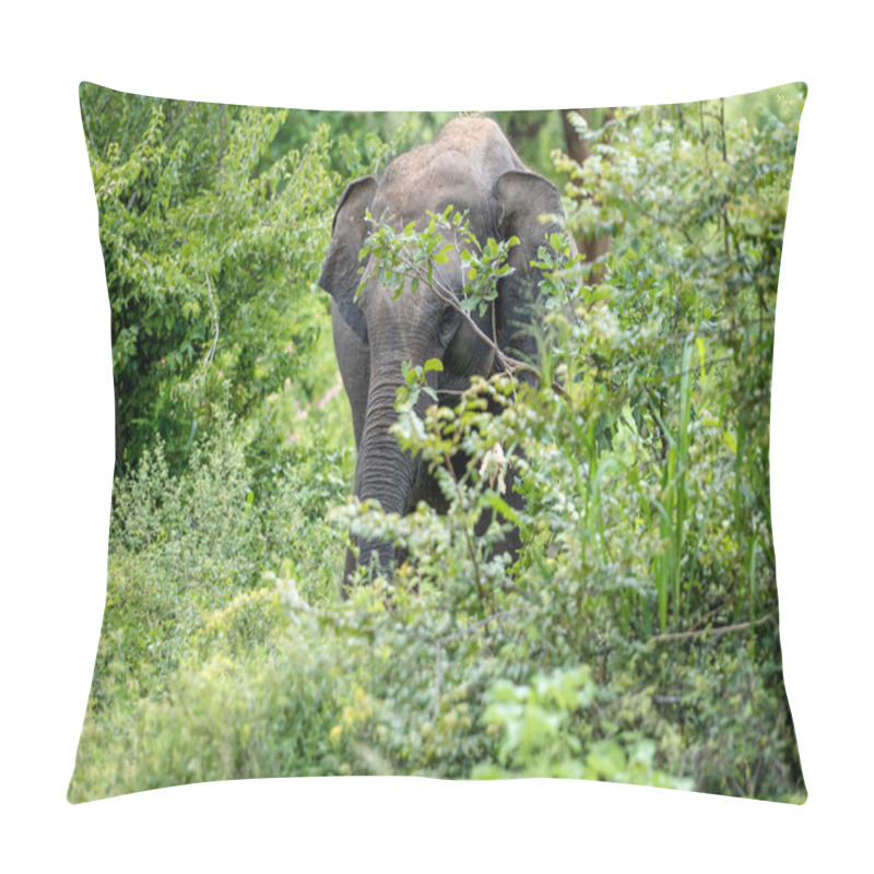 Personality  Wild Elephant In The Jungle Pillow Covers