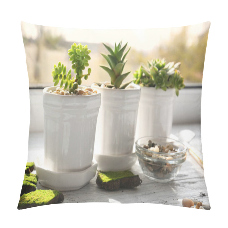 Personality  Beautiful Composition Of Houseplants Pillow Covers