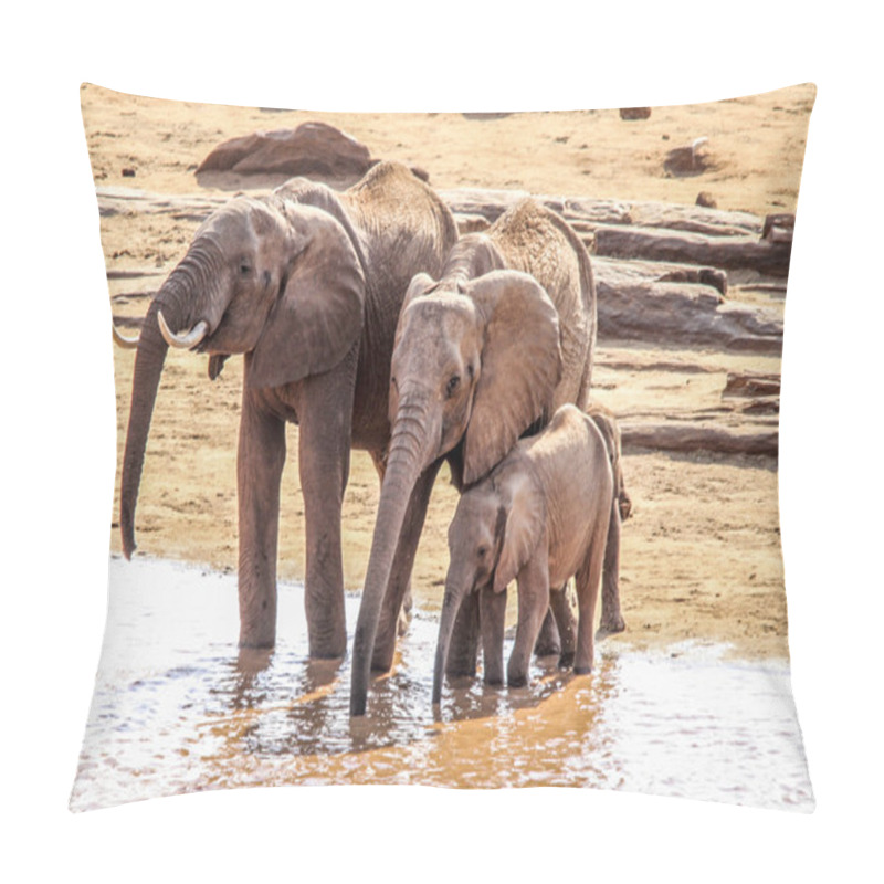 Personality  Elephant 3 Pillow Covers