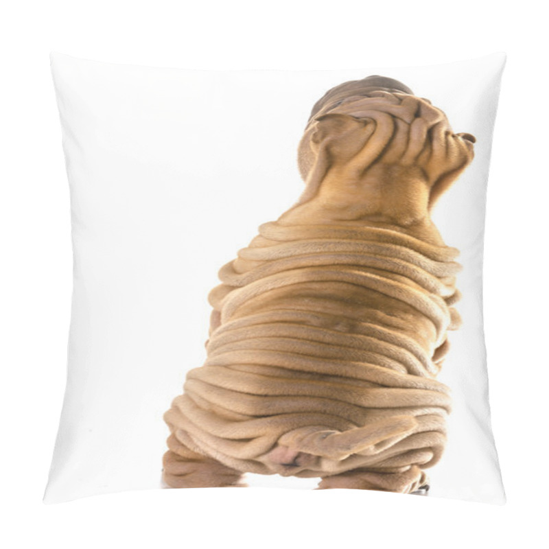 Personality  Chinese Shar Pei  Pillow Covers