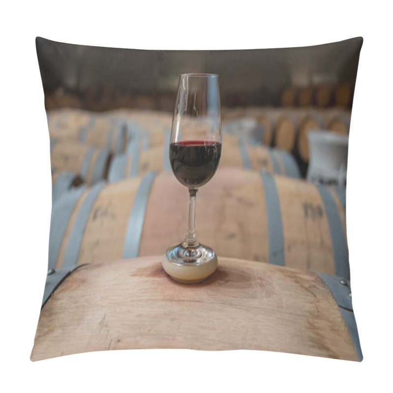 Personality  Tasting Of Variety Of Rioja Wines, Visit Of Winery Cellars With French Or American Oak Barrels With Agening Red Wine, Rioja Wine Making Region, Spain Pillow Covers