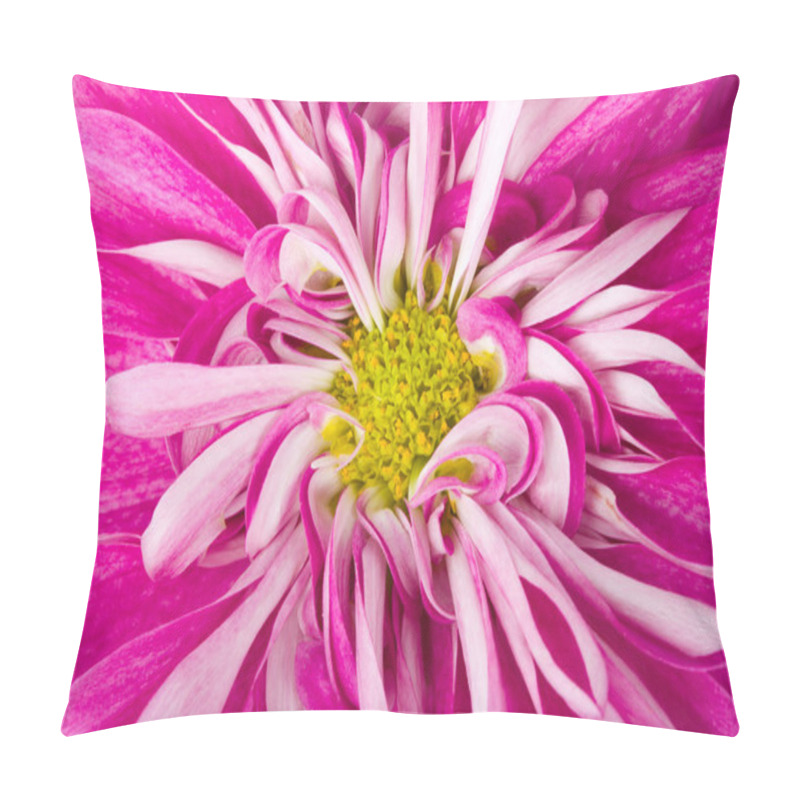 Personality  Pink Chrysanthemum Flower Pillow Covers