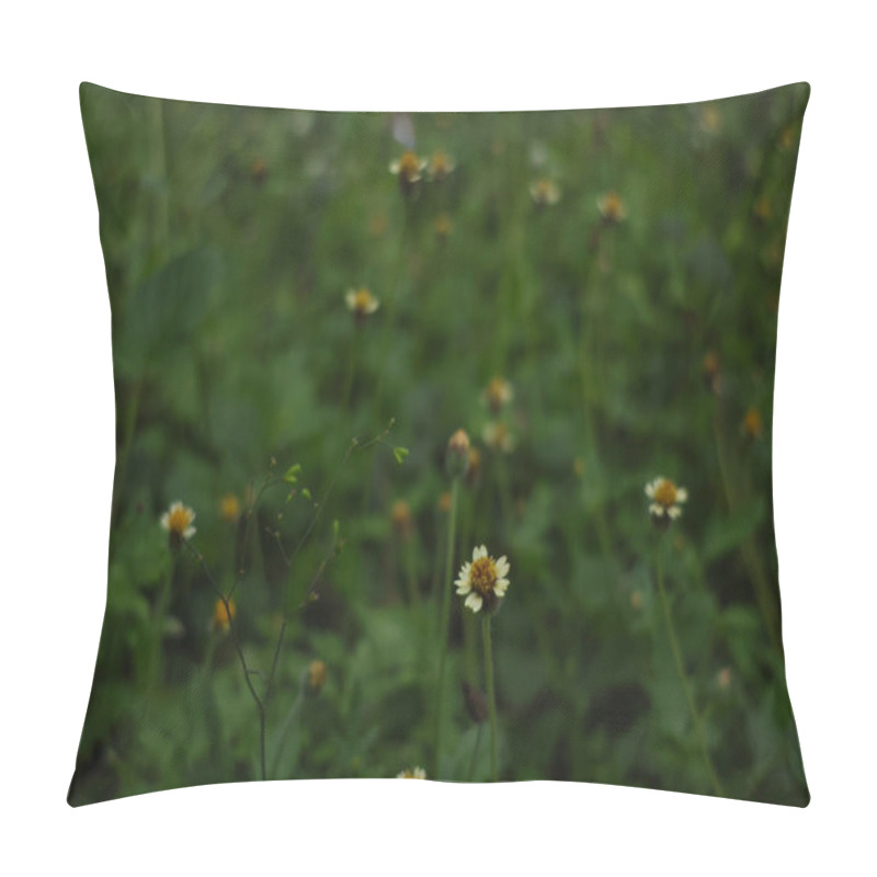 Personality  Close-up Of The Background Of Daisies On A Green Field Of Grass. Flower Backgrounds. Pillow Covers