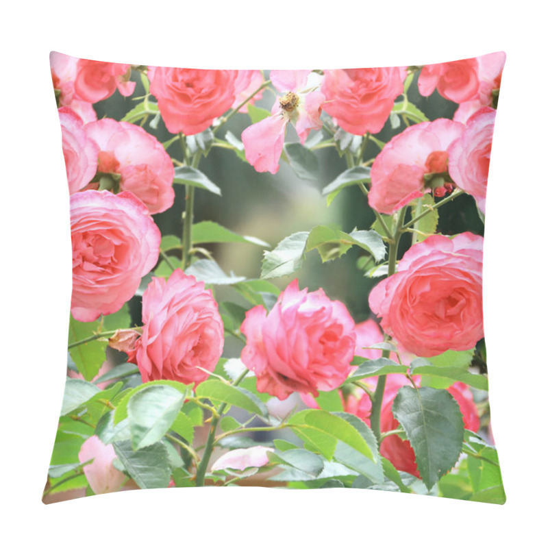 Personality  Roses In The Garden. Square Background With Rose Flowers Of Pink Color. Copy Space For Text Pillow Covers