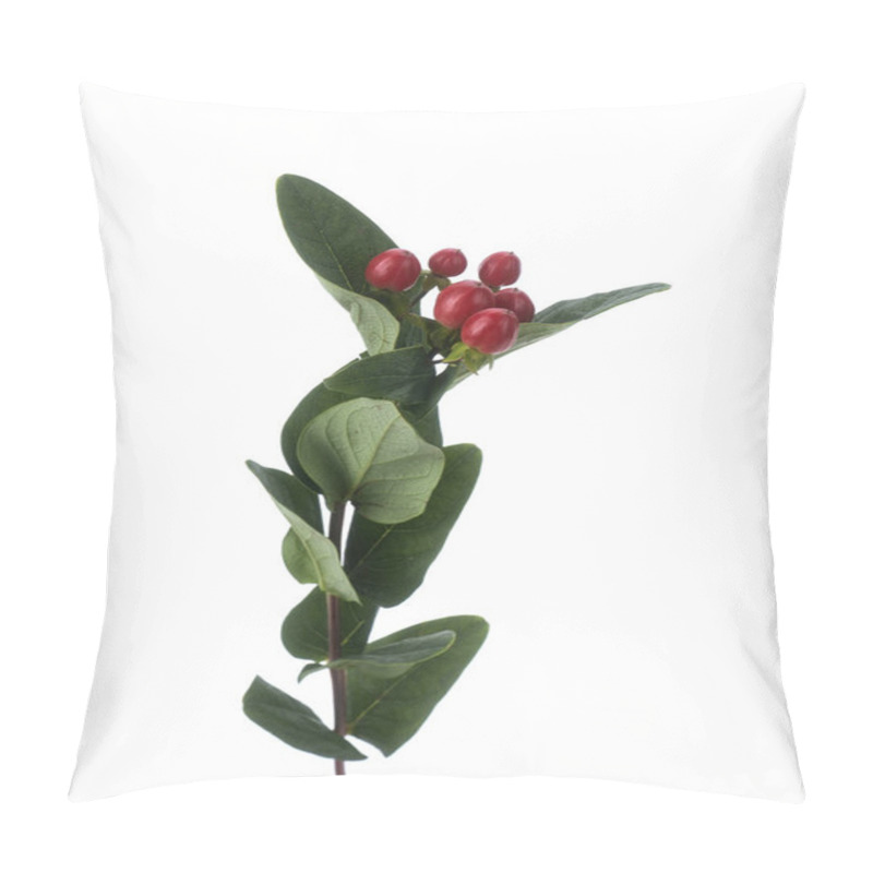 Personality  Branch Of Hypericum Plant Isolated Pillow Covers