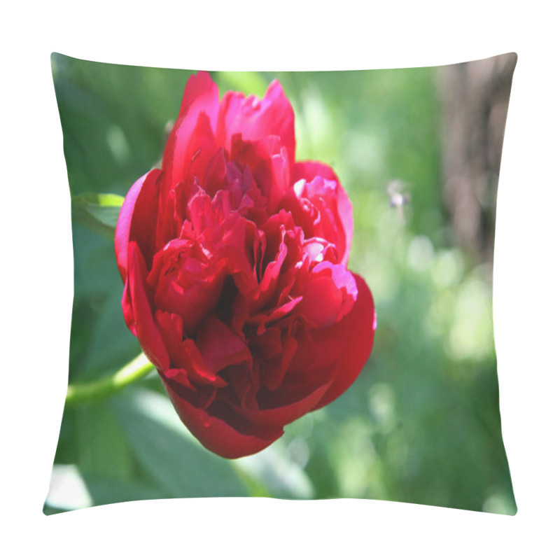 Personality  Red Peony Flower Pillow Covers