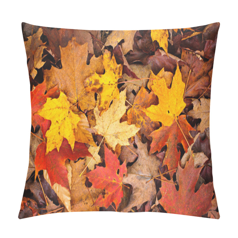 Personality  Fall Leaves Background Pillow Covers