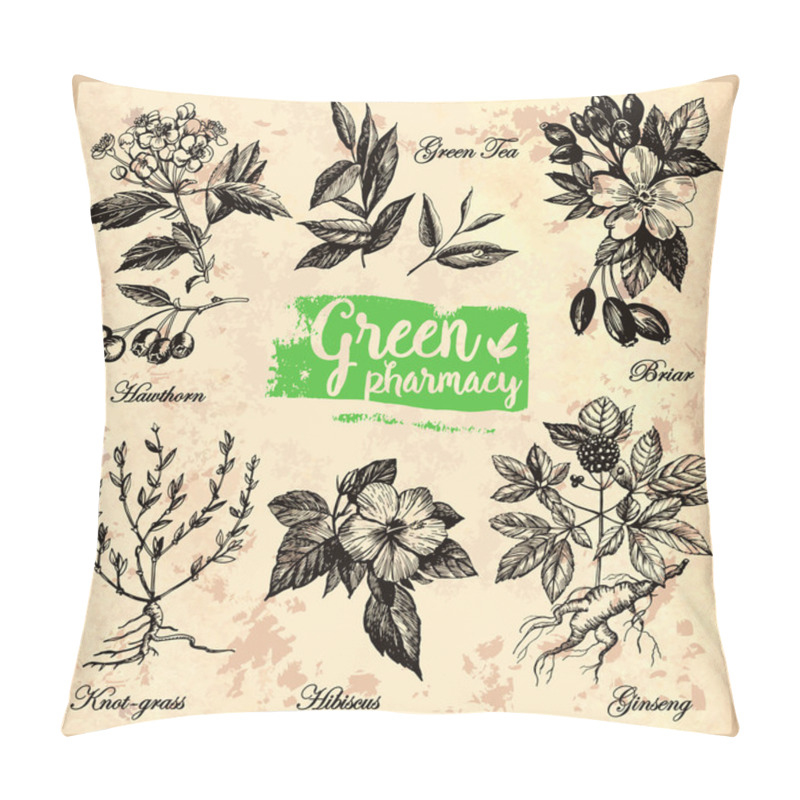 Personality  Drawings Of Herbs Green Pharmacy.  Pillow Covers