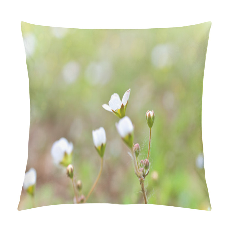 Personality  Wildflowers Pillow Covers