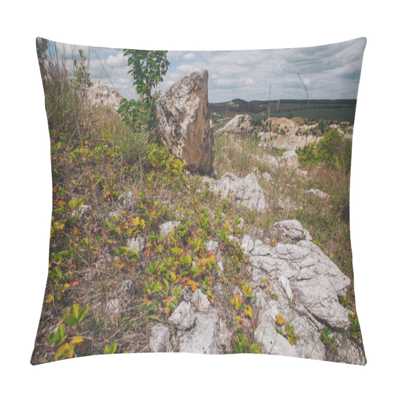 Personality  Small Red Wild Strawberries Grow On The Branches. Wild Strawberries Growing On The Mountain Slope.  Wild Strawberries Growing In A Natural Environment. Ripe Berry Growing On The Stone. Pillow Covers