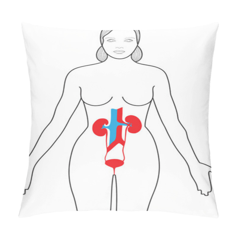 Personality  Kidneys In The Body Pillow Covers