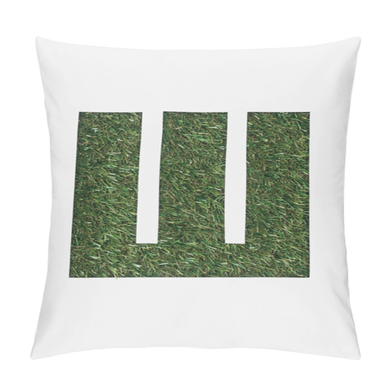 Personality  Top View Of Letter From Cyrillic Alphabet Made Of Green Grass Isolated On White Pillow Covers