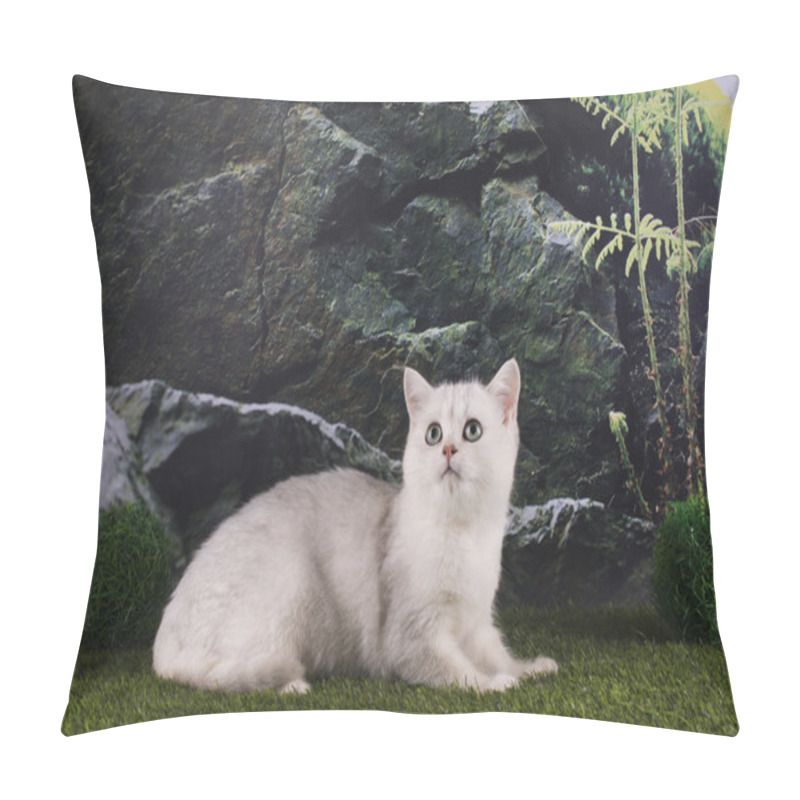 Personality  British Silver Cat In The Mountains Pillow Covers