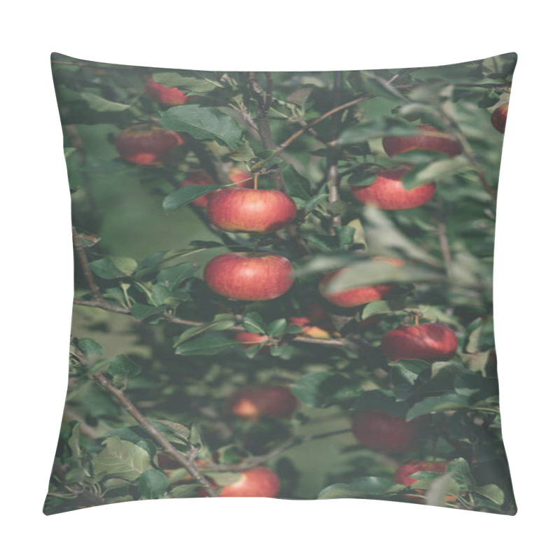 Personality  Tasty Ripe Red Apples On Tree Branches In Garden Pillow Covers