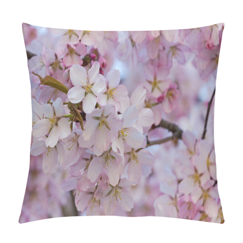 Personality  Pink Cherry Tree Blossoms Pillow Covers