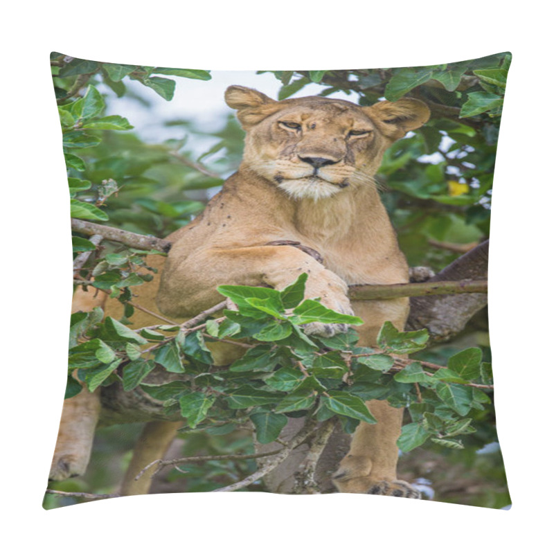 Personality  Lioness Lying On Big Tree Pillow Covers