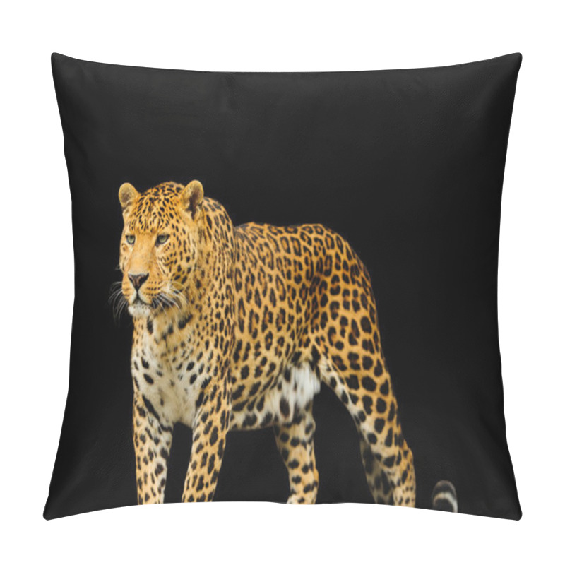 Personality  Leopard Pillow Covers