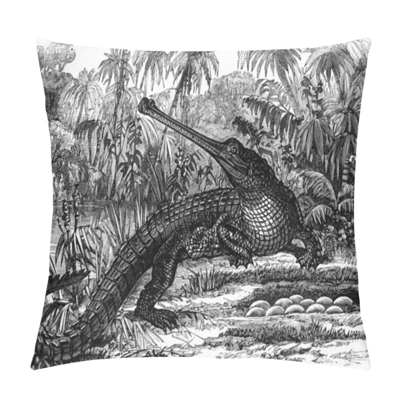 Personality  Viviparous Generation Comes From Oviparous Generation. Oviparous Pillow Covers