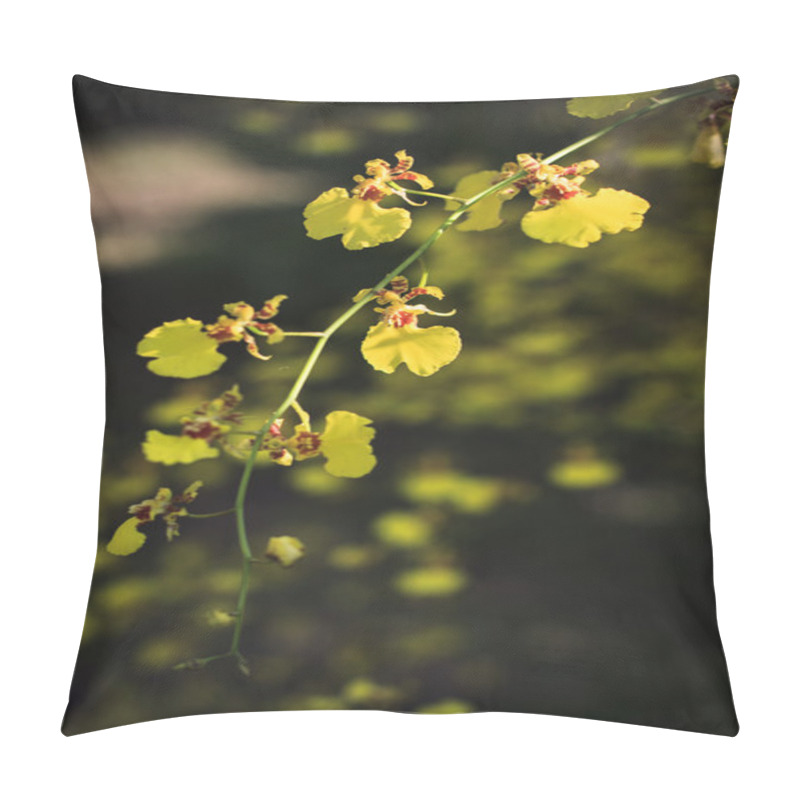 Personality  Branch Of Yellow Tropical Orchid Flower In Wild Nature With Blur Background Use For Background Or Backdrop Natural Theme Pillow Covers