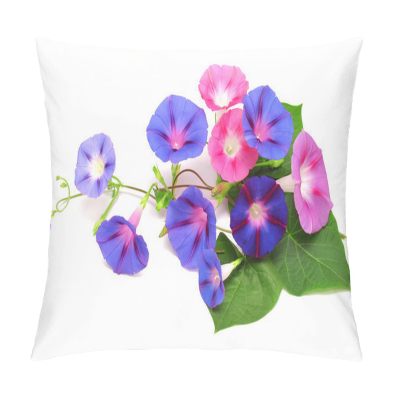 Personality  Blue And Pink Morning Glory With Leaf  Pillow Covers