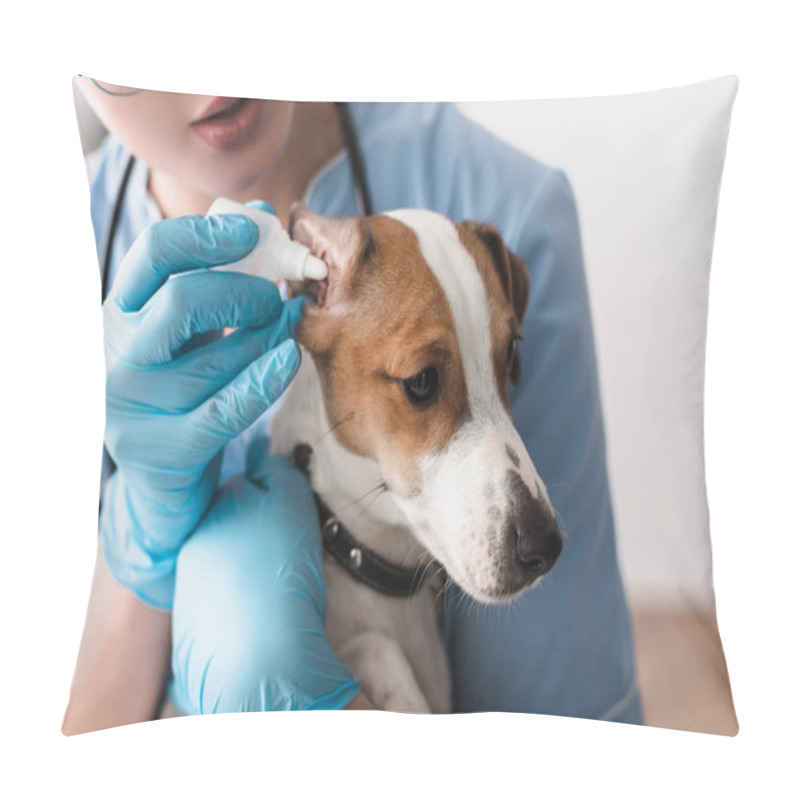 Personality  Cropped View Of Veterinarian In Latex Gloves Dripping Ear Drops To Jack Russell Terrier  Pillow Covers