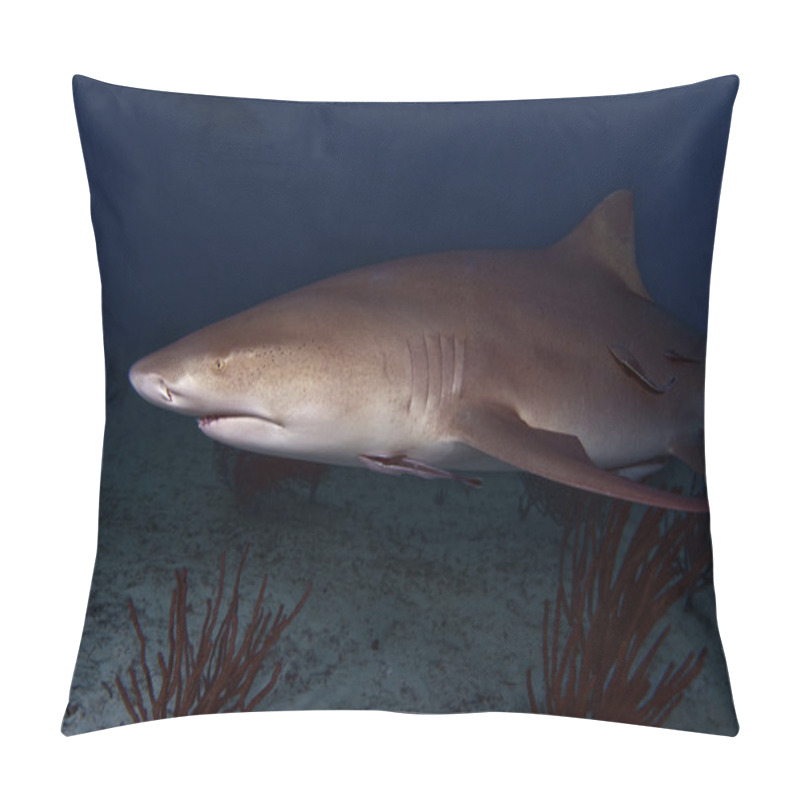 Personality  The Misunderstood Lemon Shark Pillow Covers