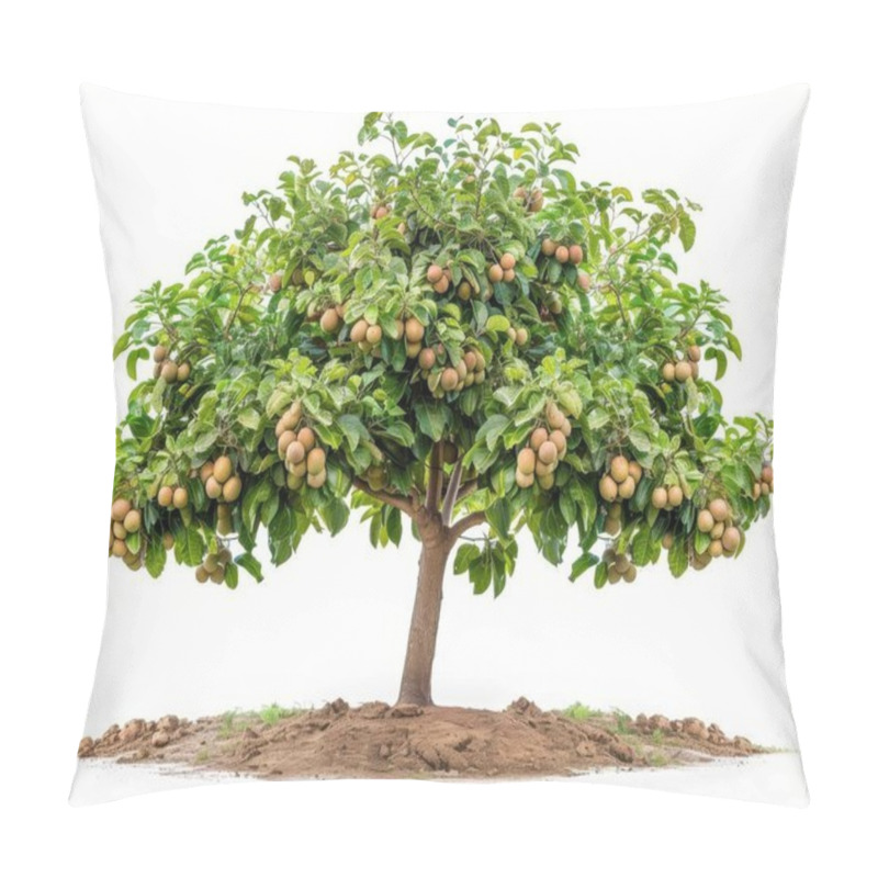 Personality  A Lush Tree Laden With Ripe Loquats, Showcasing A Vibrant Green Canopy And Abundant Fruit Against A Clean, White Background. Pillow Covers