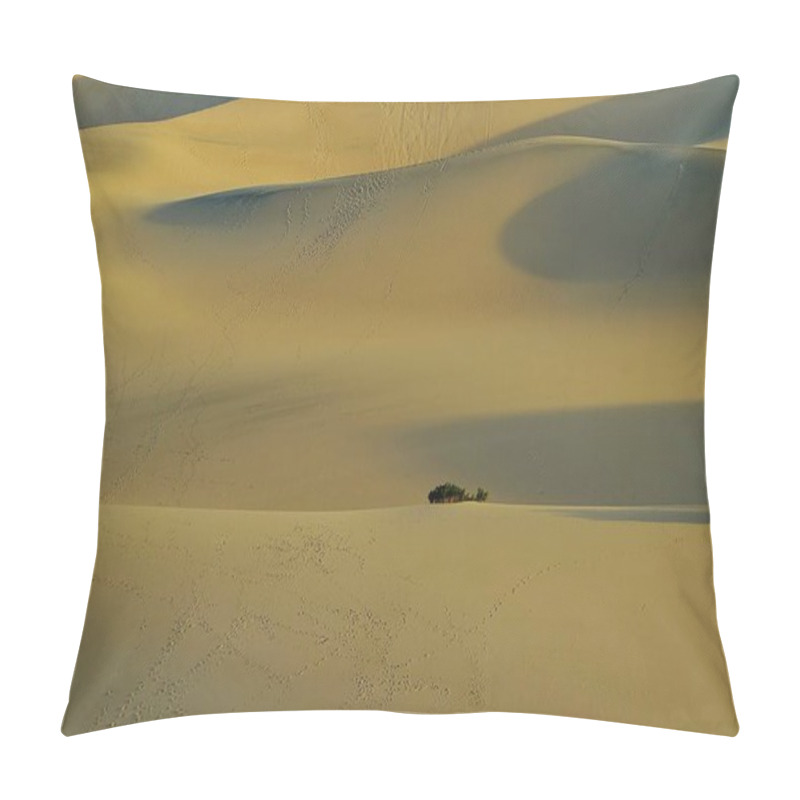 Personality  The Endless Of Drift Natures Desert Canvas Pillow Covers