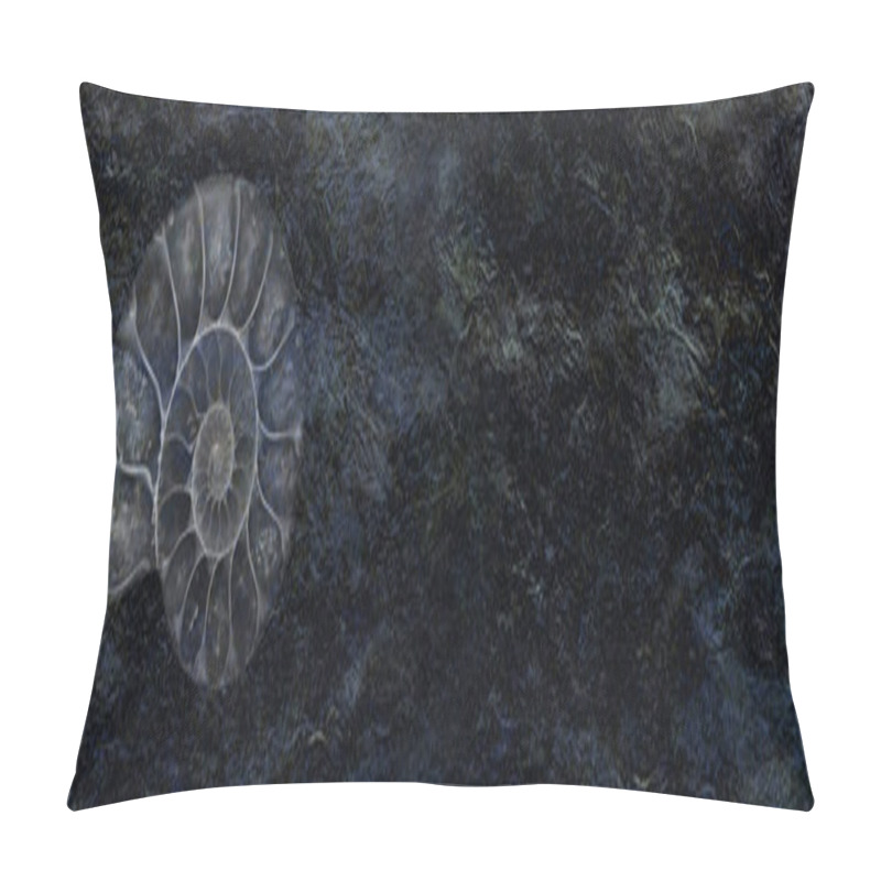 Personality  Ammonite On Rough Black Stone Background  Pillow Covers