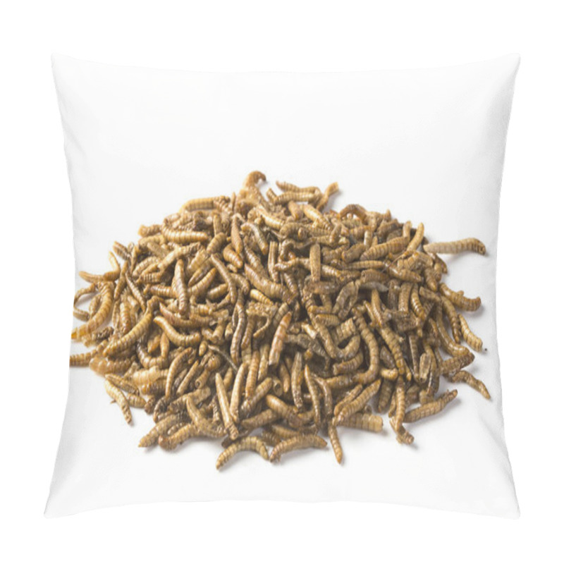 Personality  Dried Mealworms Pillow Covers