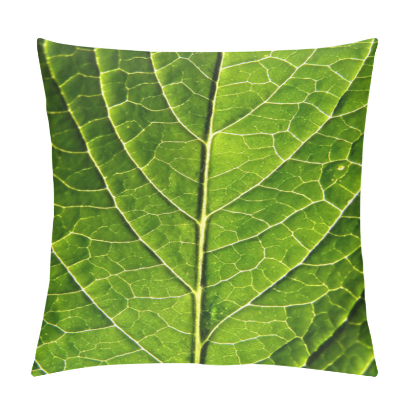 Personality  Green  Tree Leaf Texture Pillow Covers