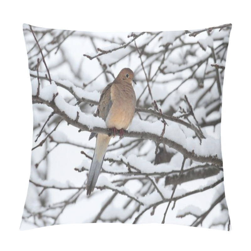 Personality  Sleeping Mourning Dove In Snow Pillow Covers