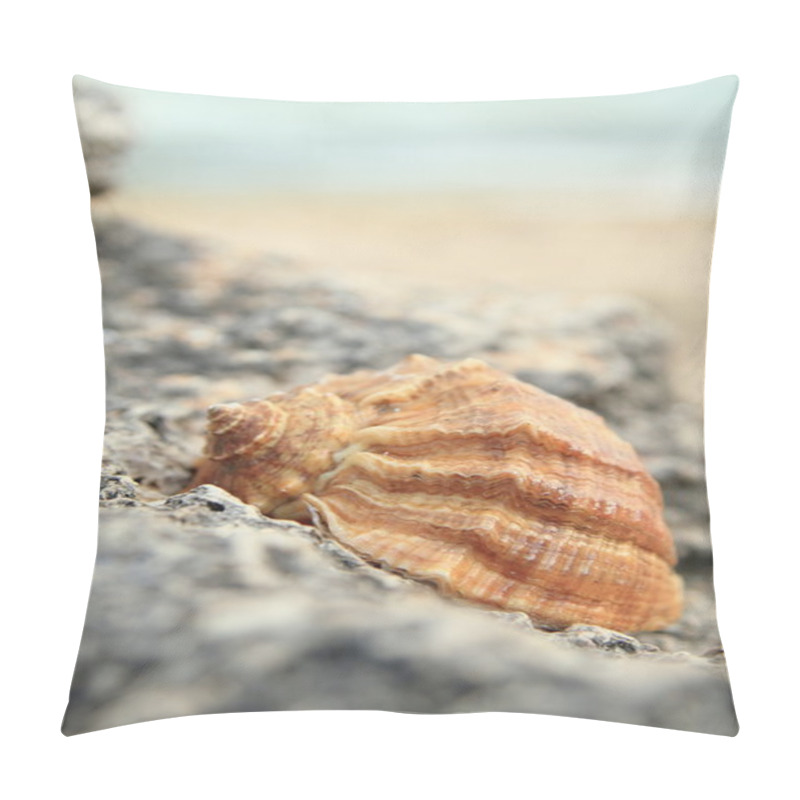 Personality  Shells On The Beach Pillow Covers