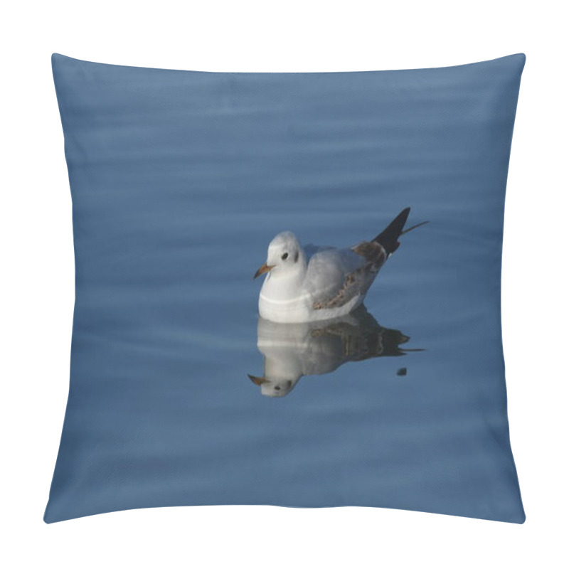 Personality  Black-headed Gull -  (Chroicocephalus Ridibundus)  Pillow Covers