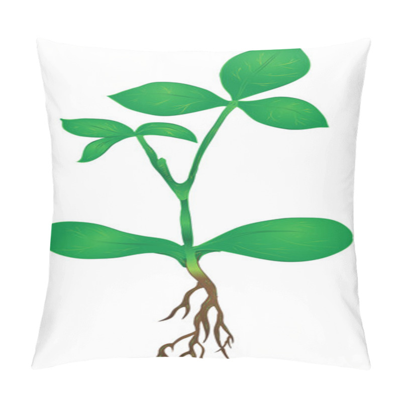 Personality  Green Stem Of A Plant Pillow Covers