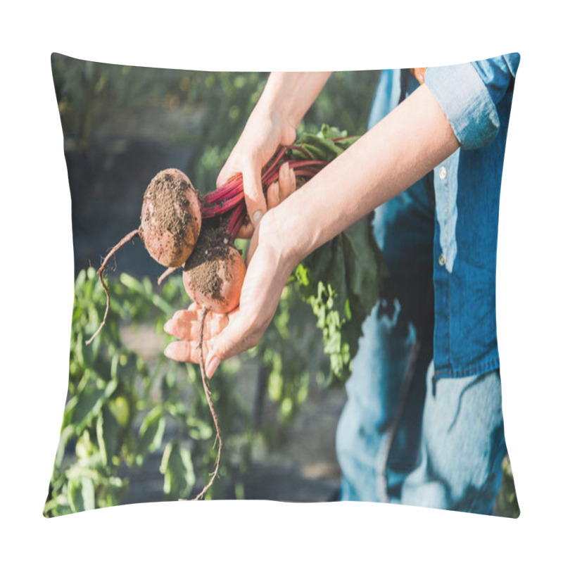 Personality  Cropped Image Of Farmer Holding Ripe Organic Beetroots In Field At Farm Pillow Covers