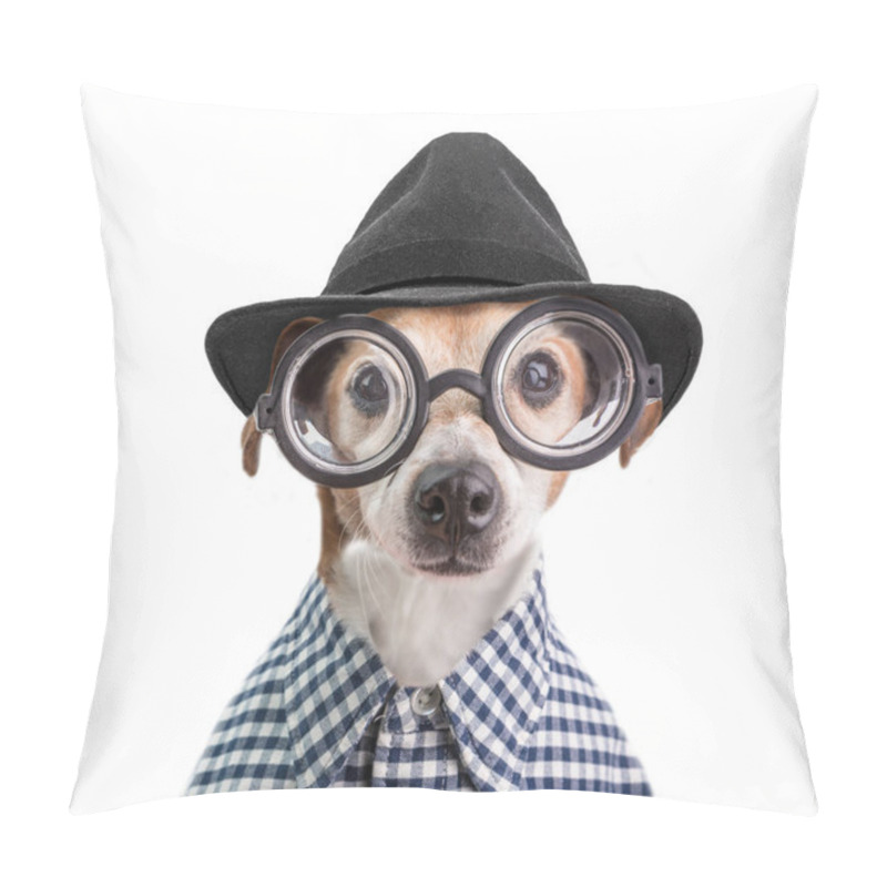 Personality  Funny Fashionable Stylish Trendy Dog Portrait In Round Glasses, Black Hat And Checkered Shirt. White Background Pillow Covers