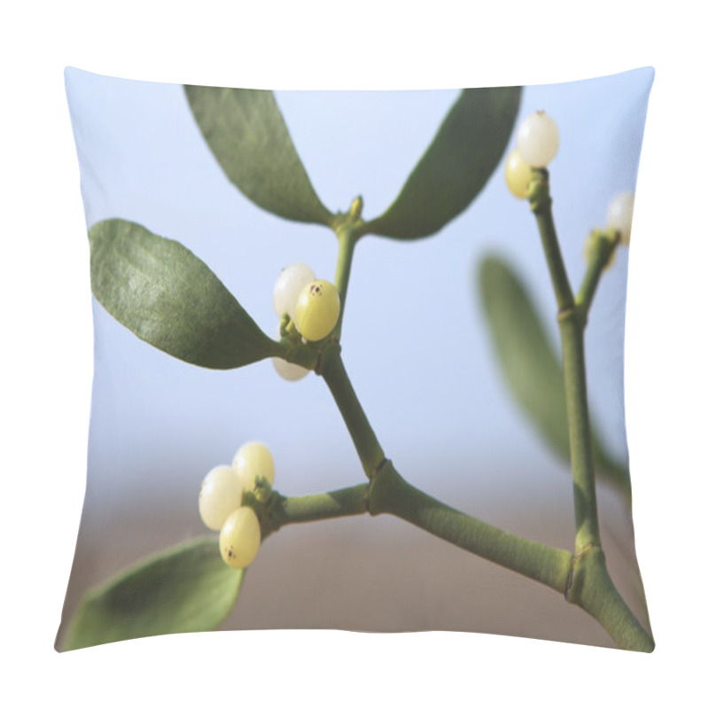 Personality  Mistletoe Plant Close-up Pillow Covers