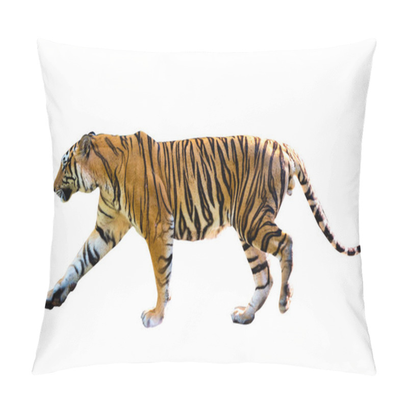 Personality  Tiger White Background Isolate Full Body Pillow Covers