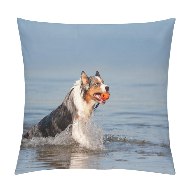 Personality  Dog, Australian Shepherd Retrieving Ball From Water At A Lake Or Sea In Sunshine And Blue Sky Pillow Covers